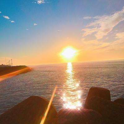 leyu乐鱼手机app下载