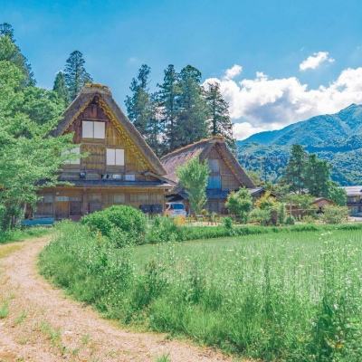 火狐体育APP体育下载手机版